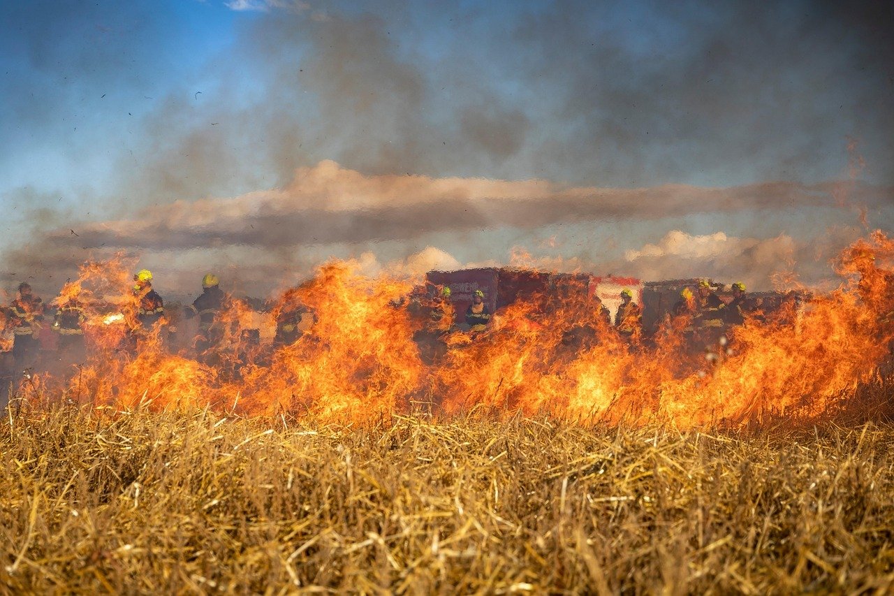 Felizmente o fogo em Israel está sob controle e a situação está melhorando
