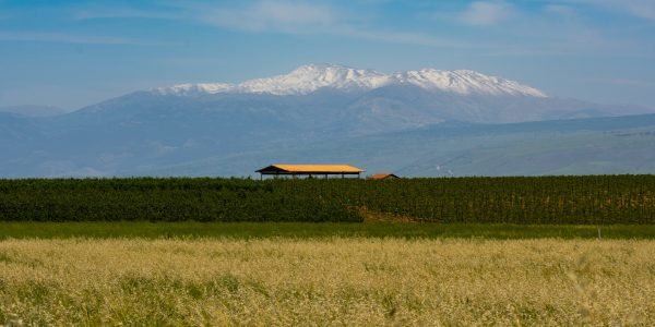 Dia histórico no Oriente Médio, Síria perdeu o control do cume do Monte Hermon