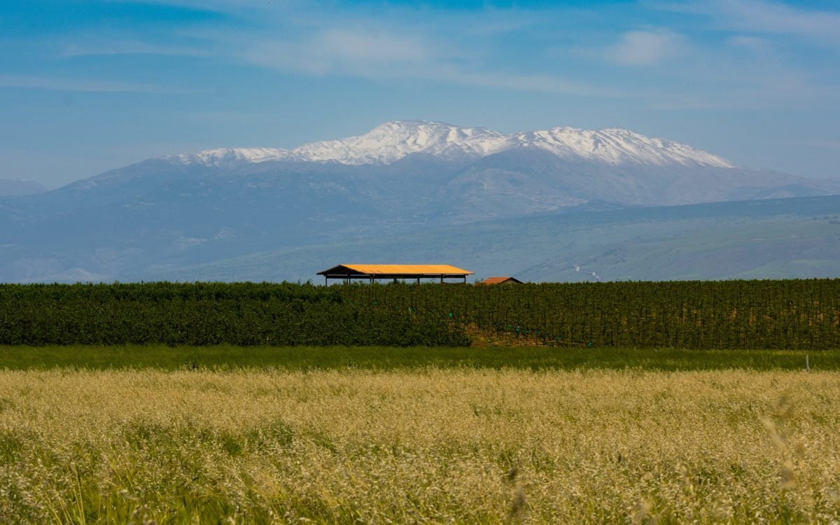 Dia histórico no Oriente Médio, Síria perdeu o control do cume do Monte Hermon
