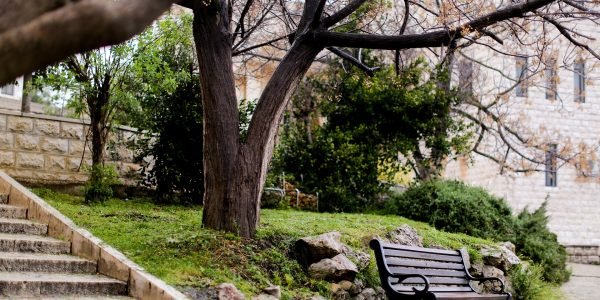 Moderação à moda Palestina, pedradas e sapatos