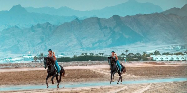 Yemen dispara contra Egito incitando-o entrar no conflito