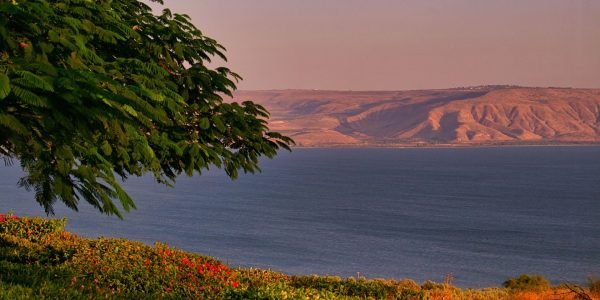 FDI: Moradores poderão retornar ao norte do país em 1 de Março