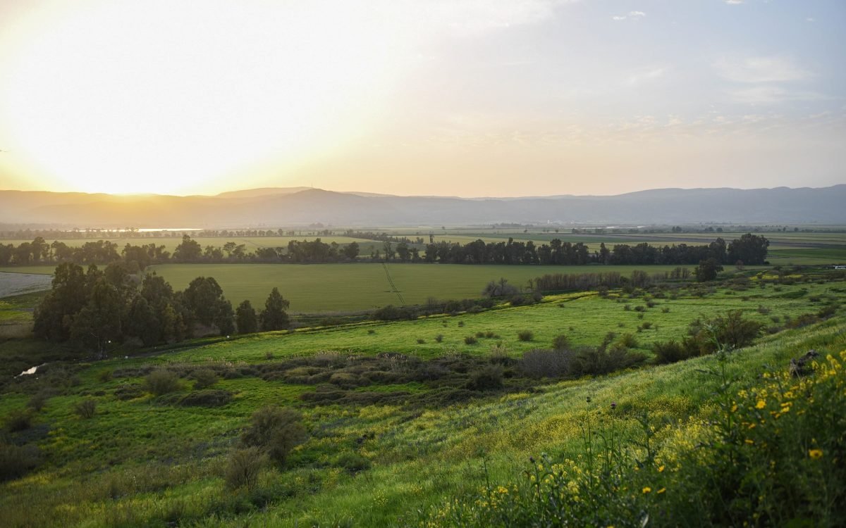 Terroristas da Samaria lavam pânico a população de Israel no estilo 7 de Outubro