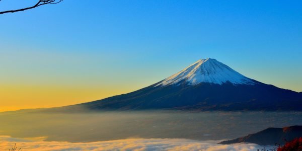 Ministra das Relações Exteriores do Japão, Yoko Kamikawa encerra visita em Israel