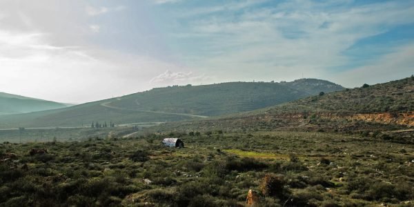 Palestinos quase mataram jovem pastor de ovelhas em Benjamin