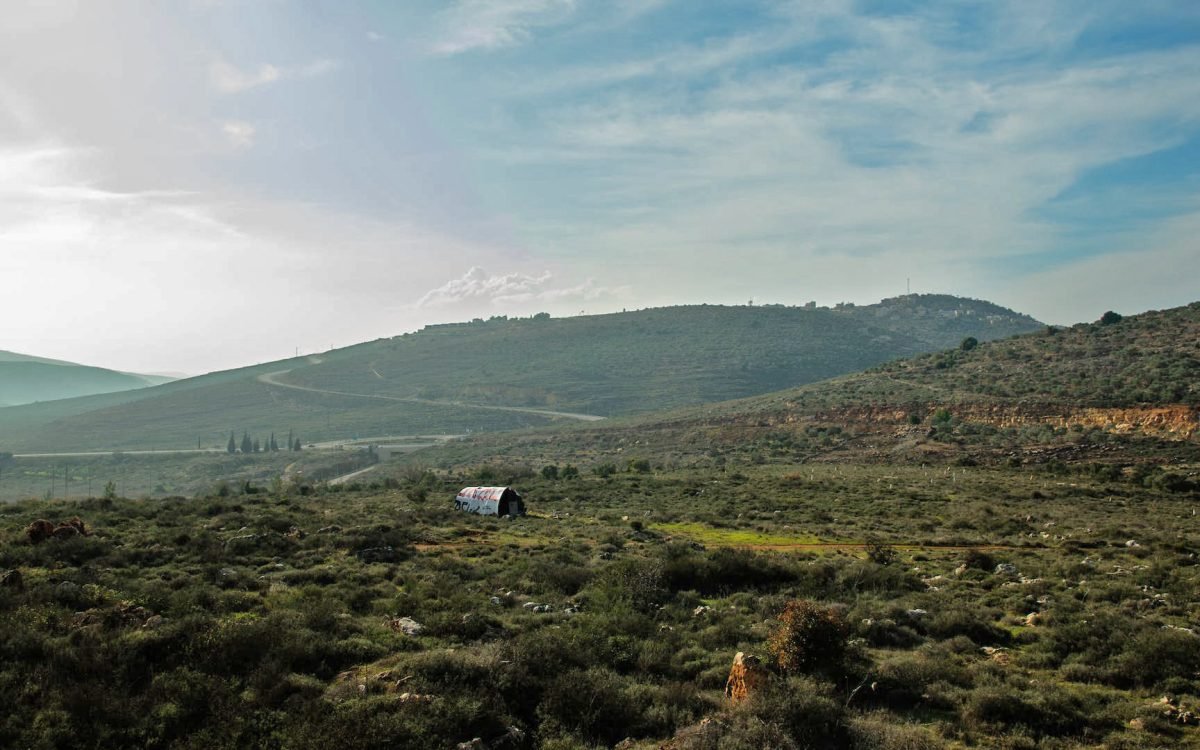 Palestinos quase mataram jovem pastor de ovelhas em Benjamin