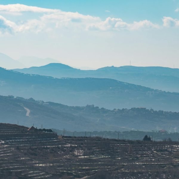 Pexels jokassis 5054991 (1)