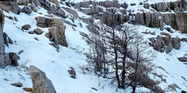 Neve, chuva e frio em Israel